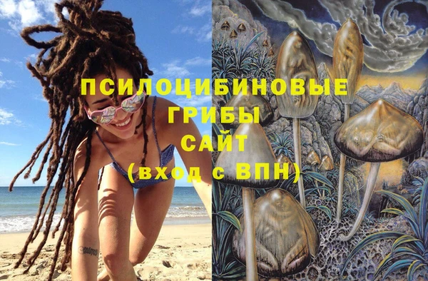 крисы Алзамай